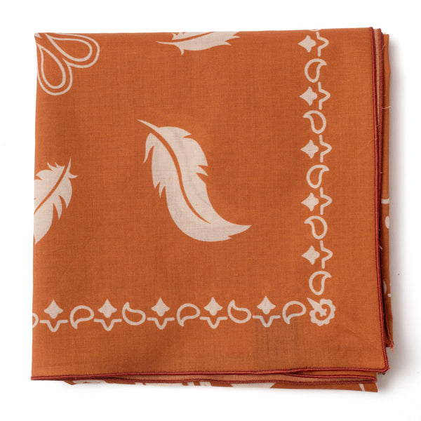 Foulard en coton "BEAUTIFUL LOSER" rusty